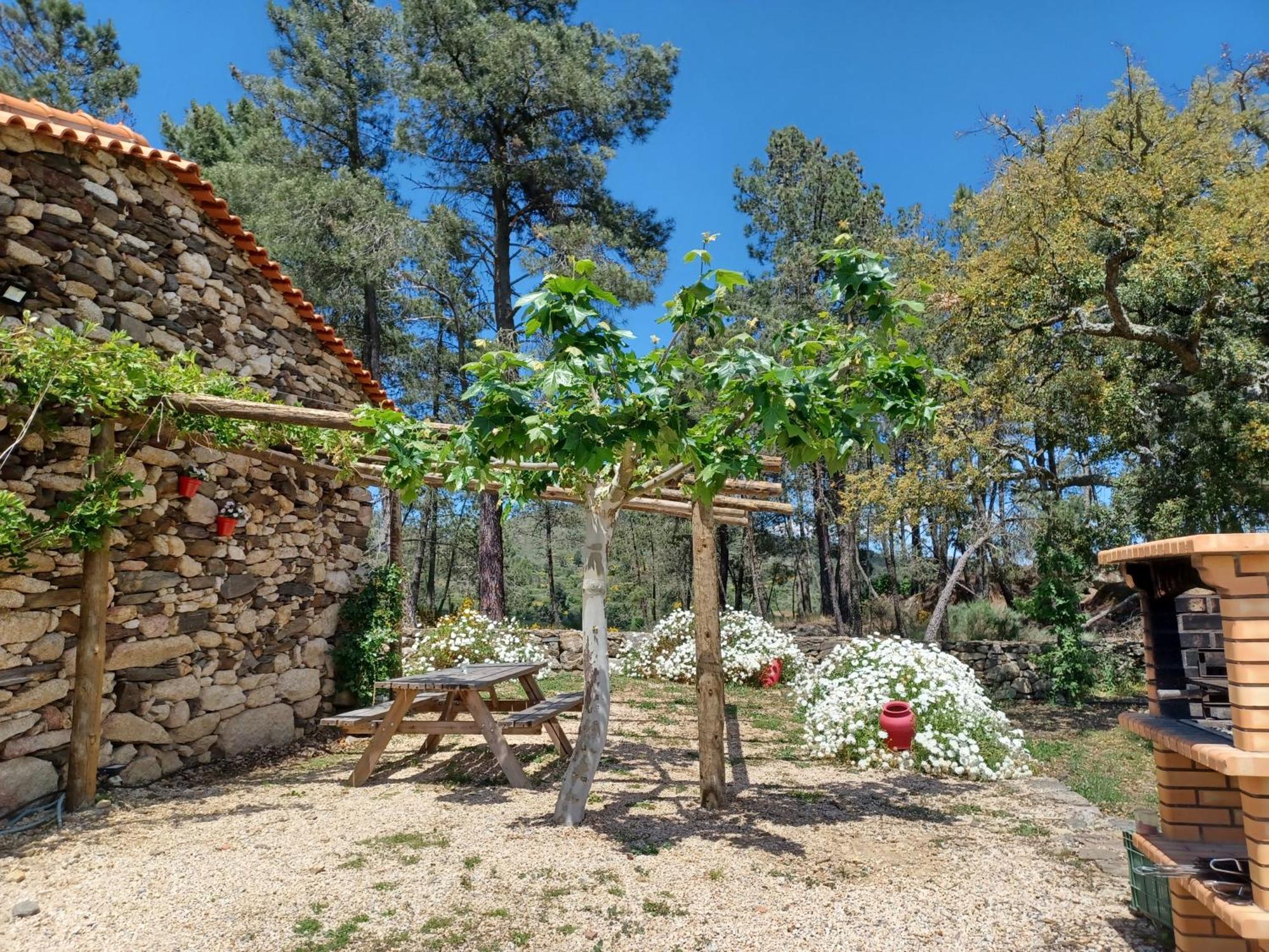 Casa Do Feitor - Douro - Quinta Da Cabrida Villa Sendim  Dış mekan fotoğraf