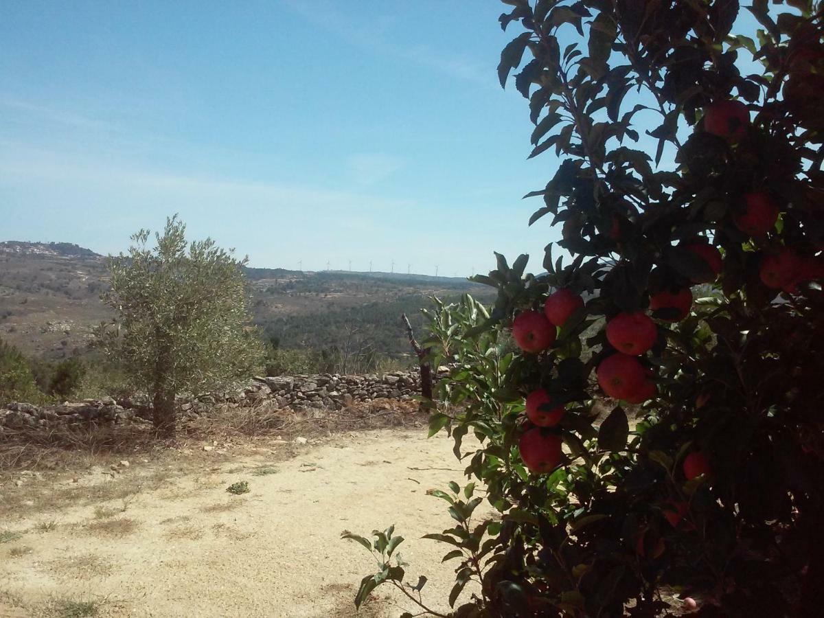 Casa Do Feitor - Douro - Quinta Da Cabrida Villa Sendim  Dış mekan fotoğraf