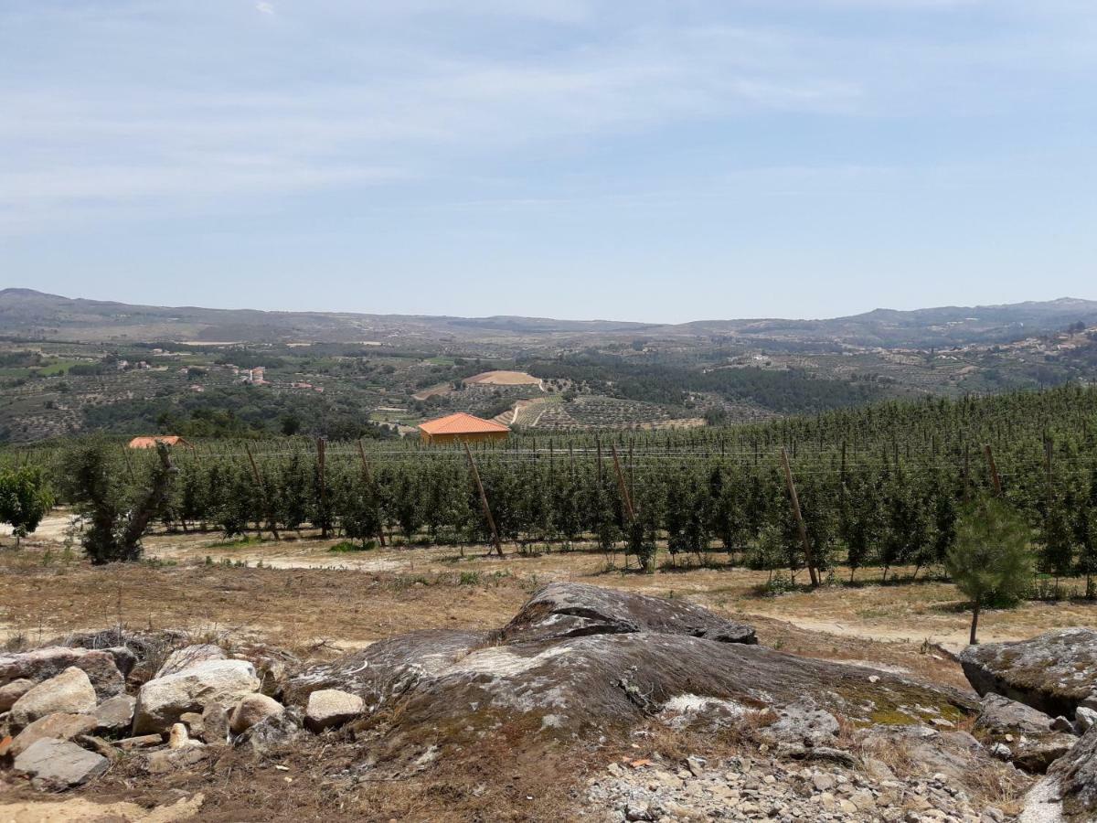 Casa Do Feitor - Douro - Quinta Da Cabrida Villa Sendim  Dış mekan fotoğraf