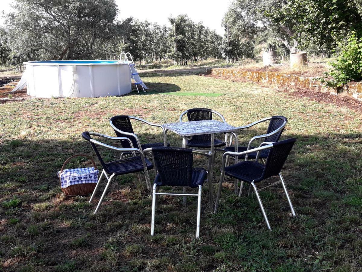 Casa Do Feitor - Douro - Quinta Da Cabrida Villa Sendim  Dış mekan fotoğraf