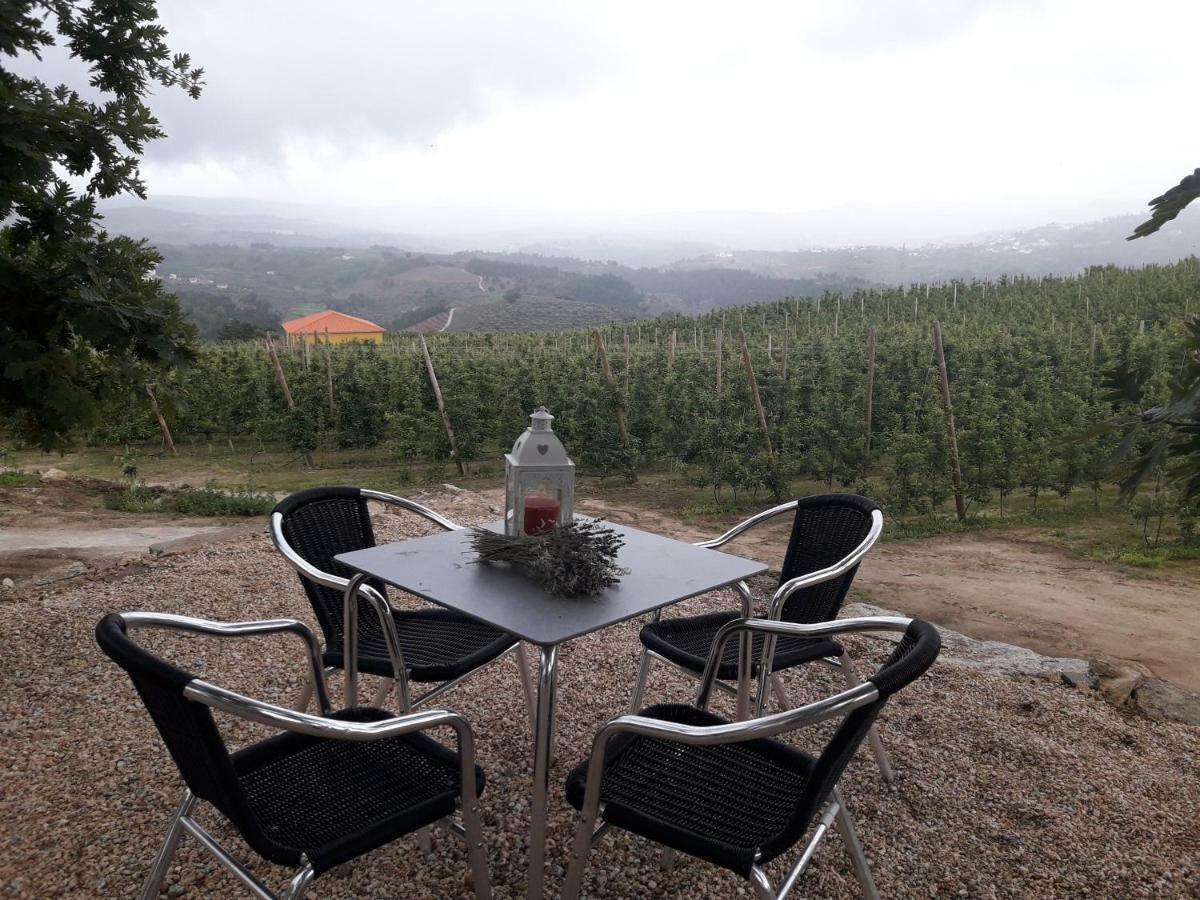 Casa Do Feitor - Douro - Quinta Da Cabrida Villa Sendim  Dış mekan fotoğraf