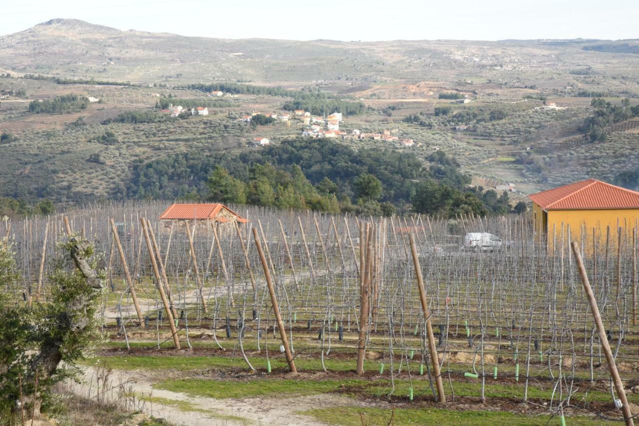 Casa Do Feitor - Douro - Quinta Da Cabrida Villa Sendim  Dış mekan fotoğraf